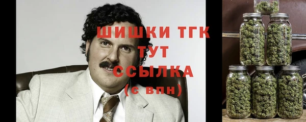 трава Белокуриха