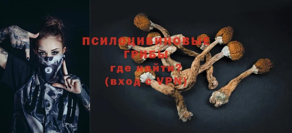 2c-b Богородицк