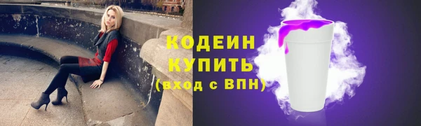 хмурый Богородск