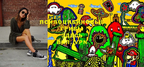 трава Белокуриха