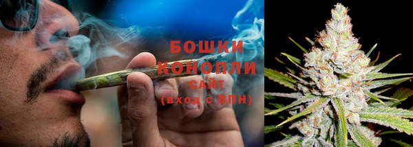 трава Белокуриха