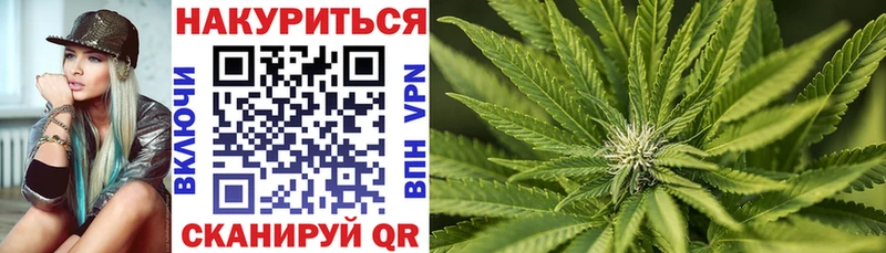 где можно купить   Бологое  Каннабис конопля 